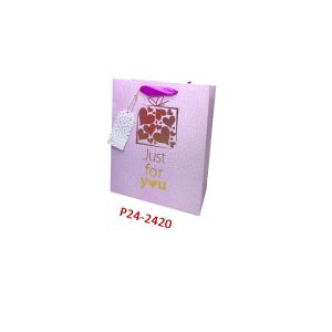 ساک دستی P24-2420